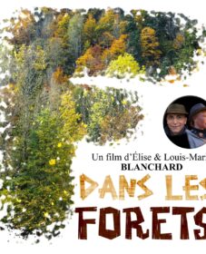 ALTAÏR conférences – Dans les forêts
