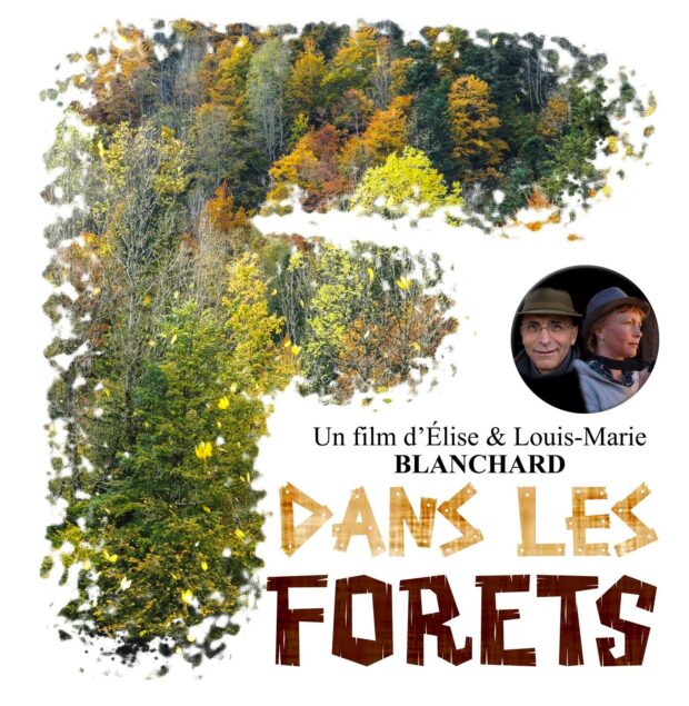 ALTAÏR conférences – Dans les forêts