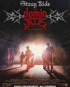 Stray Kids: The dominATE Experience