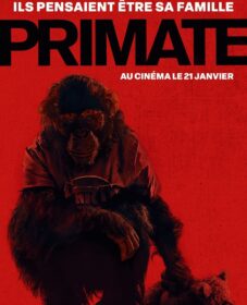 Primate