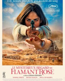 Le Mystérieux regard du flamant rose