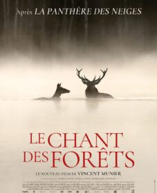 Le Chant des forêts