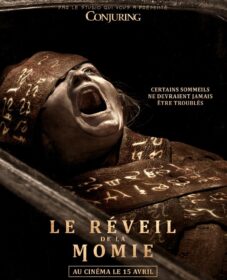 Le Réveil de la Momie