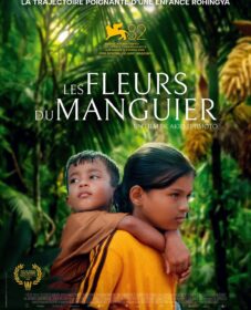 Les Fleurs du manguier