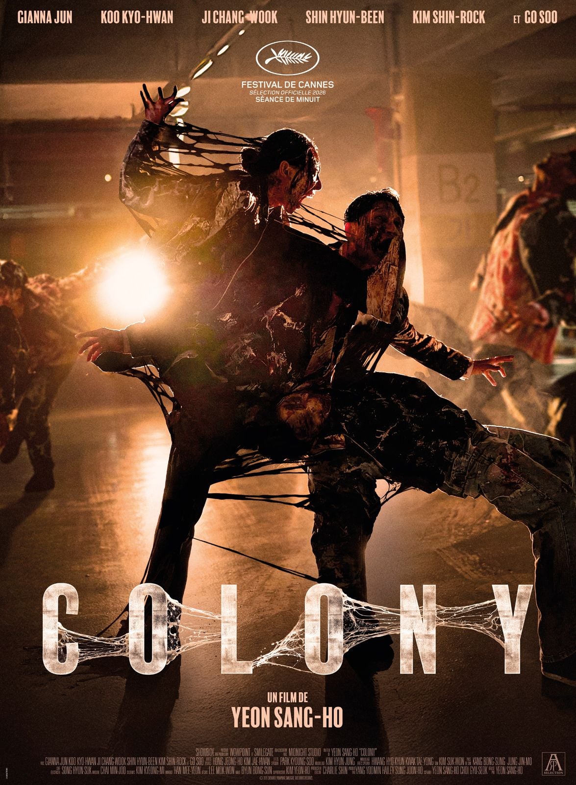 Colony Colony