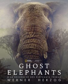 Ghost Elephants Ghost Elephants